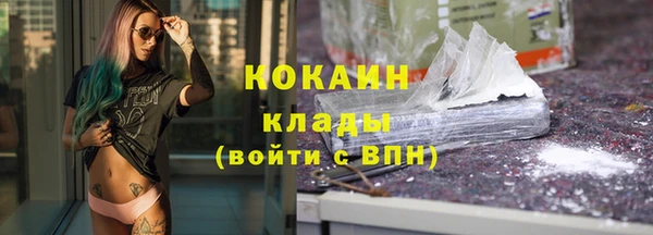 сатива Гусев