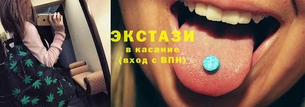 гидра Надым