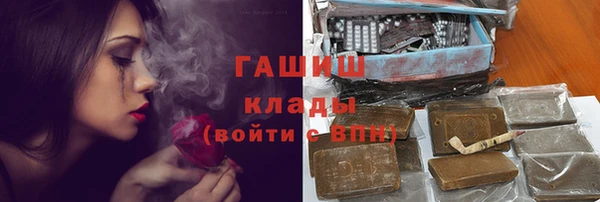 сатива Гусев