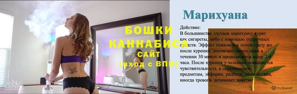 сатива Гусев