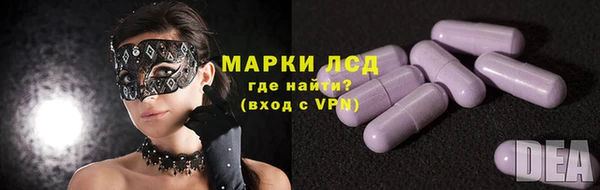 сатива Гусев