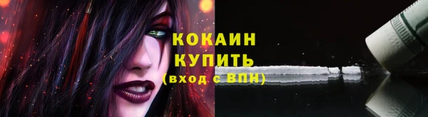 сатива Гусев
