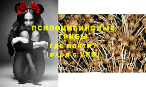 мескалин Гусь-Хрустальный