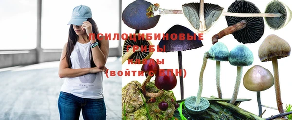 мескалин Гусь-Хрустальный