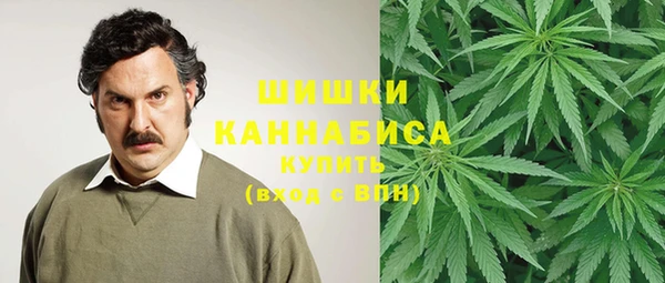 мескалин Гусь-Хрустальный