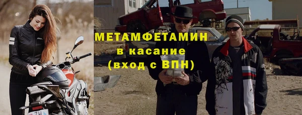 сатива Гусев